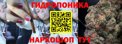 гашик Можга
