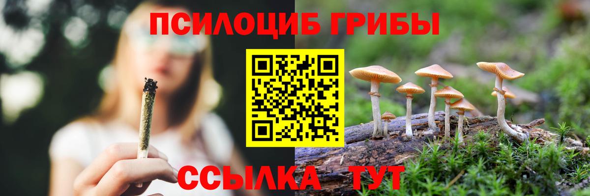 Галлюциногенные грибы Cubensis Шатура